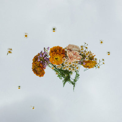 Mother's Day